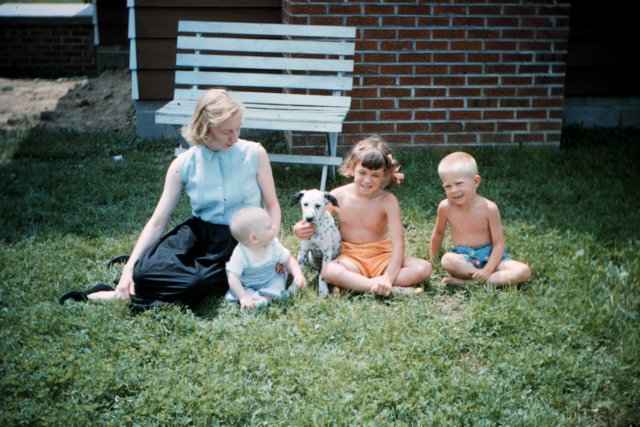 Photograph