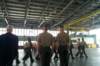 dcp_7180_small.jpg