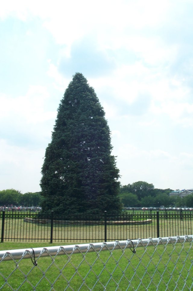 dcp_7458.jpg