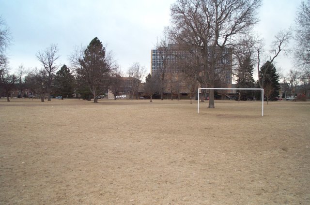 dcp_9727.jpg