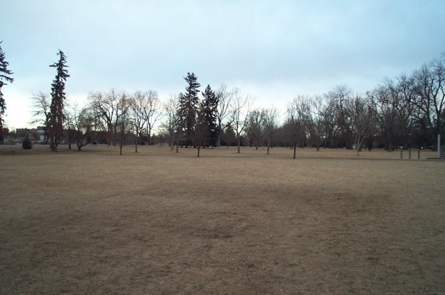 dcp_9728.jpg