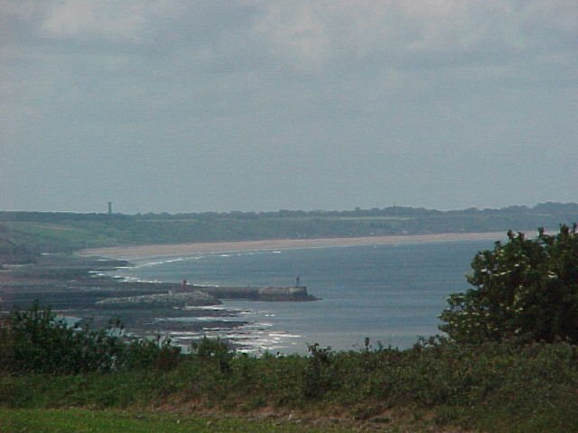 Photograph