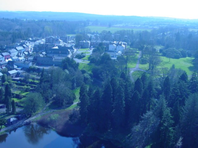 Photograph