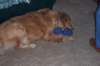 dcp_1190_small.jpg