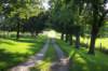 dcp_1227_small.jpg