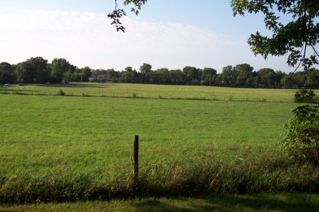 dcp_1234.jpg