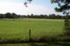 dcp_1234_small.jpg