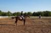 dcp_1264_small.jpg