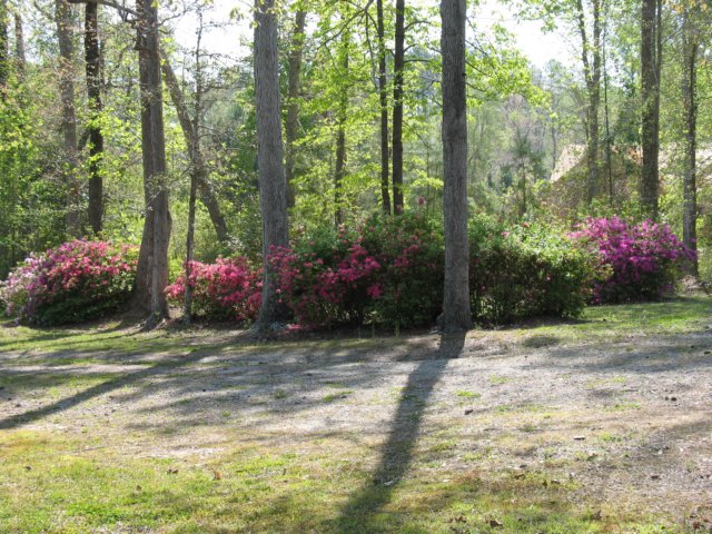 img_1731.jpg