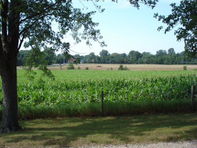 cnv0180.jpg