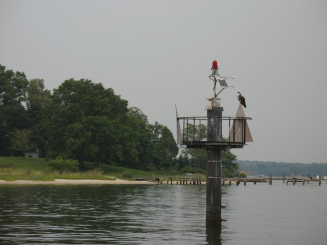 img_6119.jpg