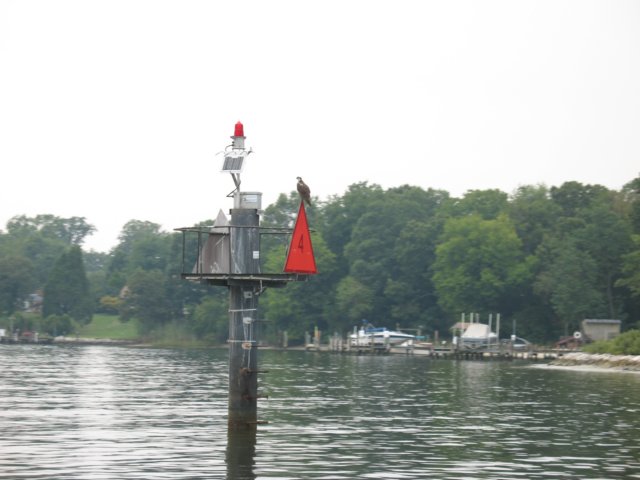 img_6120.jpg