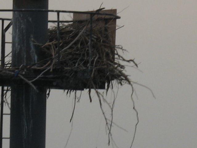 img_6126.jpg
