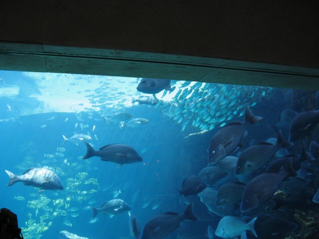 img_7594.jpg