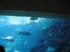img_7594_small.jpg