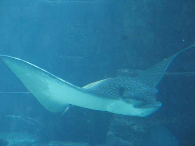 img_7601.jpg