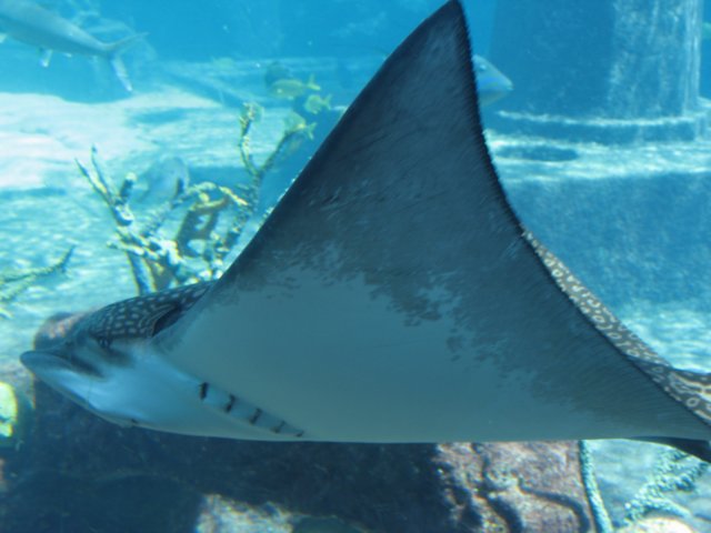 img_7603.jpg