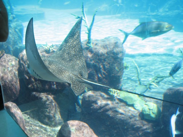 img_7604.jpg