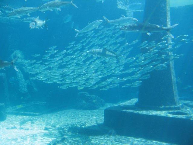 img_7607.jpg