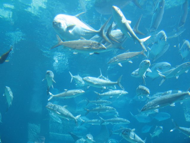 img_7608.jpg