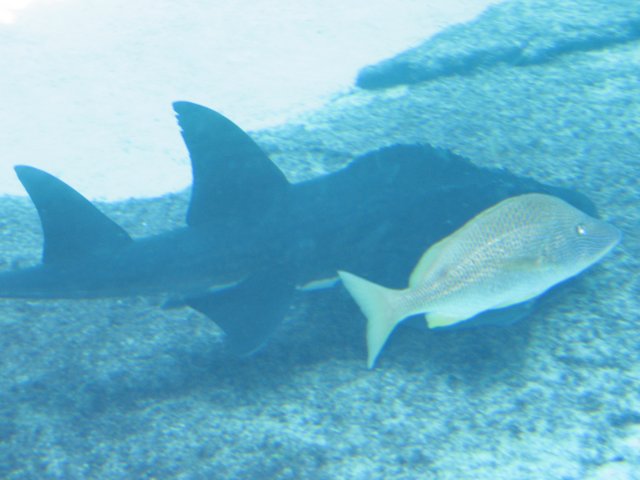 img_7615.jpg