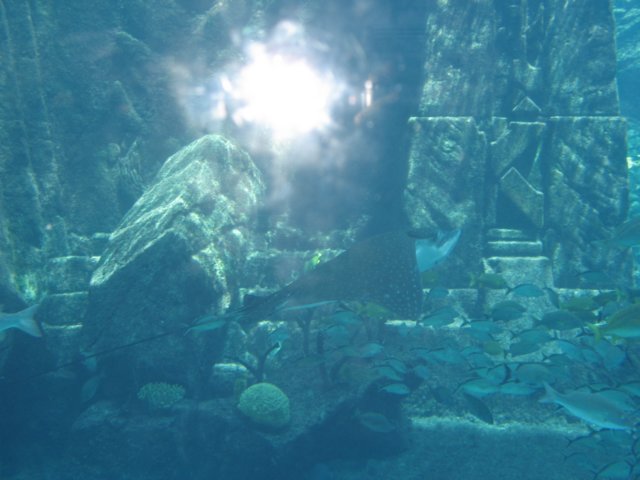 img_7619.jpg
