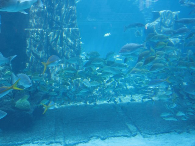 img_7623.jpg