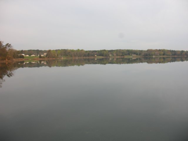 img_0294.jpg