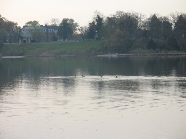 img_0304.jpg