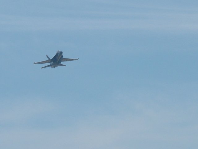img_0531.jpg