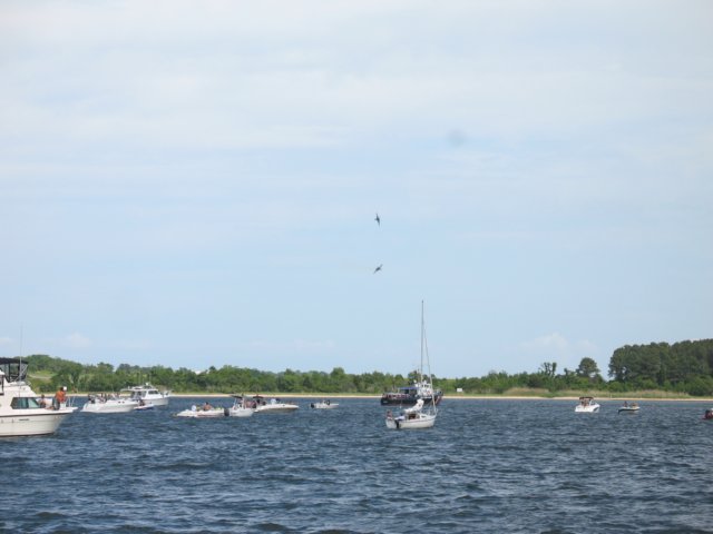 img_0697.jpg
