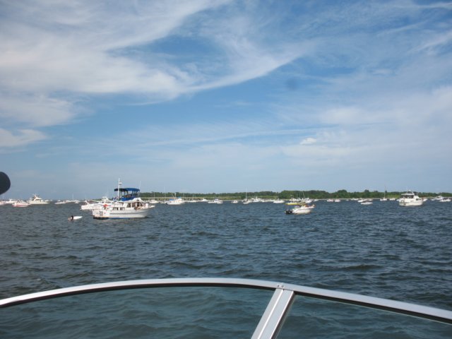 img_0731.jpg