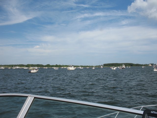 img_0732.jpg