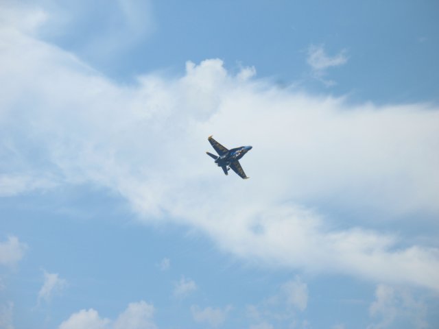 img_0747.jpg