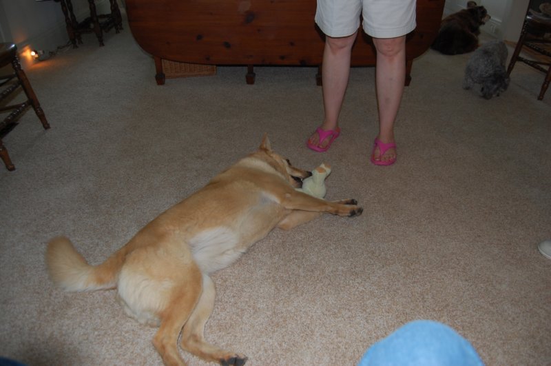 dsc_0085.jpg
