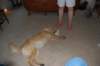 dsc_0085_small.jpg