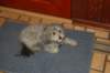 dsc_0092_small.jpg