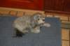 dsc_0093_small.jpg