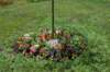 dsc_0107_small.jpg