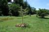dsc_0108_small.jpg