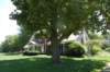 dsc_0110_small.jpg