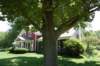 dsc_0111_small.jpg