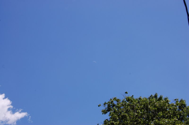 dsc_0123.jpg