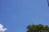 dsc_0123_small.jpg