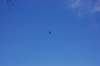 dsc_0130_small.jpg