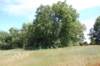 dsc_0132_small.jpg