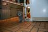dsc_0133_small.jpg