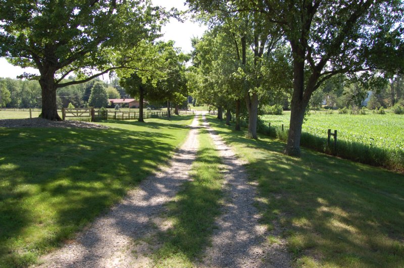 dsc_0146.jpg