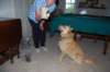 dsc_0175_small.jpg