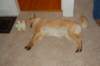 dsc_0184_small.jpg